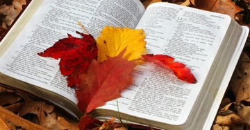 10 Psalms for Autumn Reflection