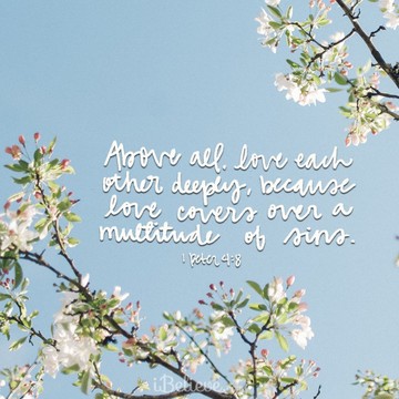 Your Daily Verse - 1 Peter 4:8