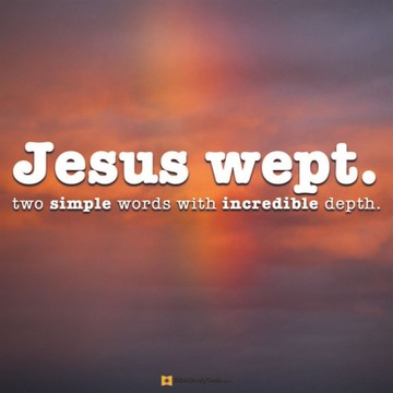 Your Daily Verse - John 11:35