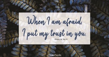 Your Daily Verse - Psalm 56:3