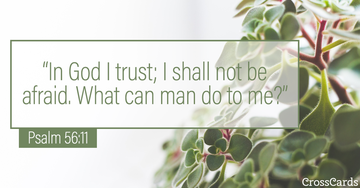 Psalm 56:11