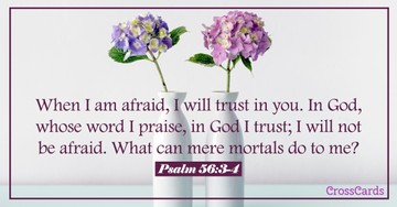 Psalm 56:3-4