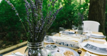 The Power of Passover and Why it Still Matters Today