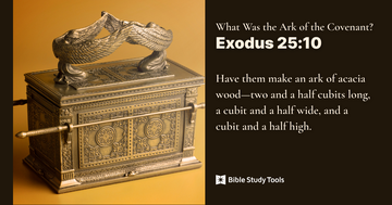 Exodus 25:10