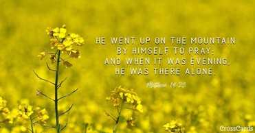 Your Daily Verse - Matthew 14:23