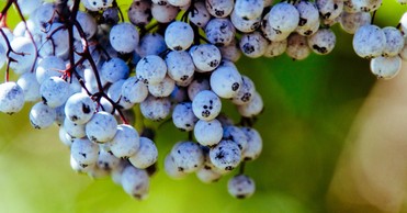 A Prayer of Gratitude for the Gift of Seasons - Your Daily Prayer - September 24