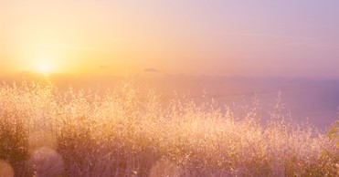 A Prayer to Hold Fast When a Close Relationship Changes - Your Daily Prayer - August 12