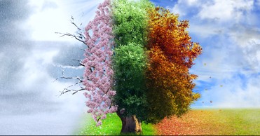 A Prayer to See God’s Blessings in Every Season - Your Daily Prayer - November 19