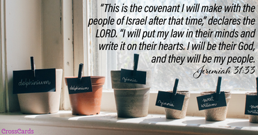 Your Daily Verse - Jeremiah 31:33