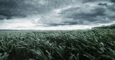 A Prayer for the One Who Is Afraid of God’s Glory and Power - Your Daily Prayer - June 11