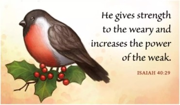 Your Daily Verse - Isaiah 40:29