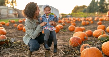 A Prayer to Be Present in the Season You’re In - Your Daily Prayer - October 18