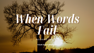 A Prayer Because You Don’t Know How to Pray Anymore | Your Daily Prayer