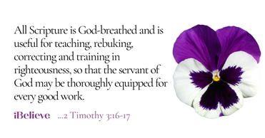 Your Daily Verse - 2 Timothy 3:16-17 - August 19th