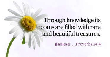 Your Daily Verse - Proverbs 24:4 - August 26th