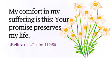 Your Daily Verse - Psalm 119:50 - August 27th