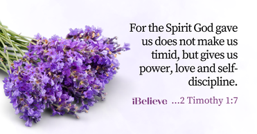Your Daily Verse - Proverbs 11:14 - August 31st