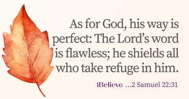 Your Daily Verse - 2 Samuel 22:31 - October 8th