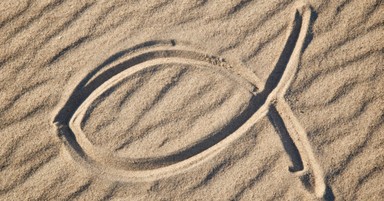 7 Titles the Bible Gives Believers