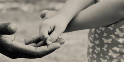 Why You Should Not Adopt