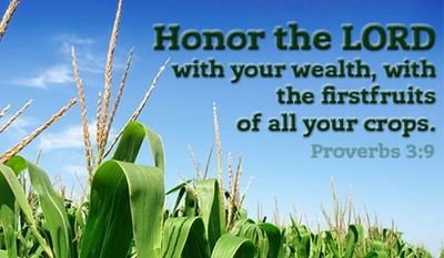Proverbs 3:9 - Honor the LORD with your wealth, with the firstfru...