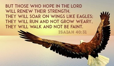 Isaiah 40:31 - but those who hope in the LORD will renew their st...