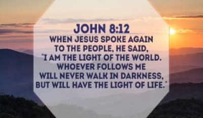 John 8 Niv Bible But Jesus Went To The Mount Of Olives At Dawn He