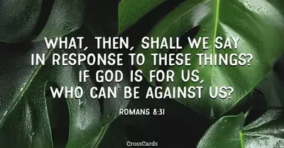 Romans 8:31 - NIV Bible - What, then, shall we say in response to these...
