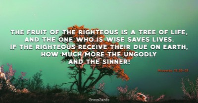 Proverbs 11:30-31 - The Fruit Of The Righteous Is A Tree Of Life, And ...