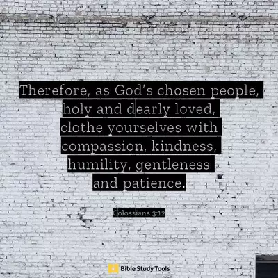 62777-bsm306.webp