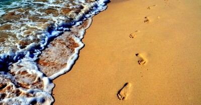 What is that to You? You Follow Jesus Christ! 