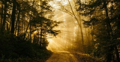 Prayer: Not a Destination but a Path