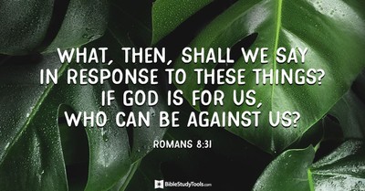 Your Daily Verse - Romans 8:31