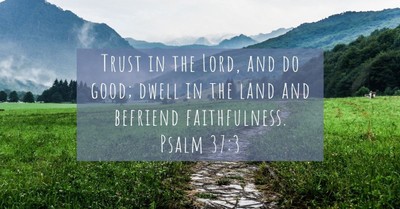 Your Daily Verse - Psalm 37:3
