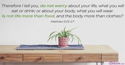 Your Daily Verse - Matthew 6:25-27