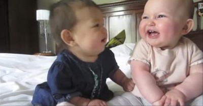Two Babies Have the World's CUTEST Conversation - Awww 