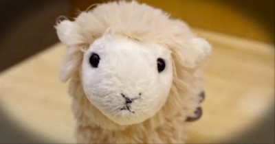 Don't be Embarrassed if this Toy Lamb Makes You Cry -- I Teared Up, Too! 