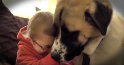 A Sick Boy Isolated Himself From the World, Until He Met This 3-Legged Dog. 