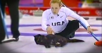 They've Found the Secret Ingredient to Improving an Olympic Sport. . .CATS! 