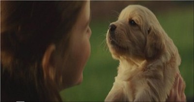 This is the Kind of Heartwarming Video that Every Dog Lover Must See 
