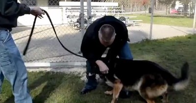 Military Man Reuniting with His Pup May be Best 18 Seconds of Your Day 