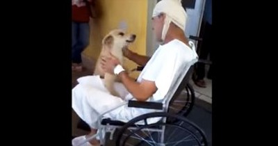 Owner and Dog Are Reunited at Hospital After 8 Long Days Apart 