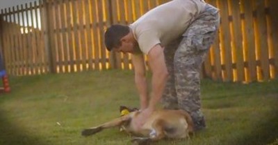 This Dog Saved A Soldier’s Life. And How He's Thanking Her Brought Me To Tears! 