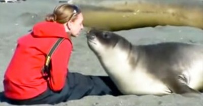 This Seal Sparks Up A Heartwarming Friendship - Filled With Slobbery Kisses! 