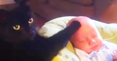 This Kitty Might Be The BEST Babysitter Ever. So Cute! 