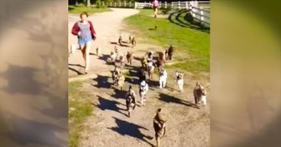There’s Nothing Ba-a-a-a-d About This Baby Goat Stampede! 