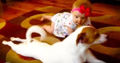 I Don’t Know Who’s Cuter – The Crawling Baby Or The Pup That’s Trying To Teach Her! 
