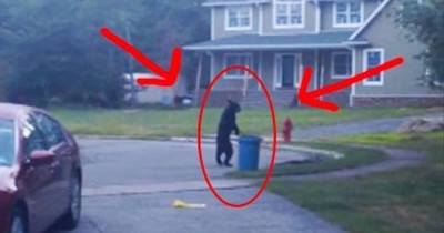 This Bear Thinks He’s A Person – And It Has Me Completely Baffled! 