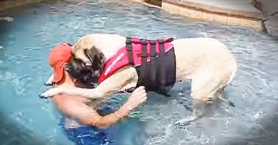 This Sweet Pup Was Afraid To Take The Plunge – Until She Realized Daddy Had Her Back! 
