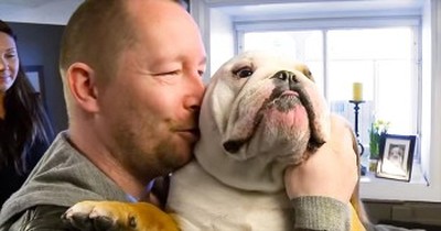 This Bulldog Gets A Surprise Home Away From Home – And My Heart Is Melting! 